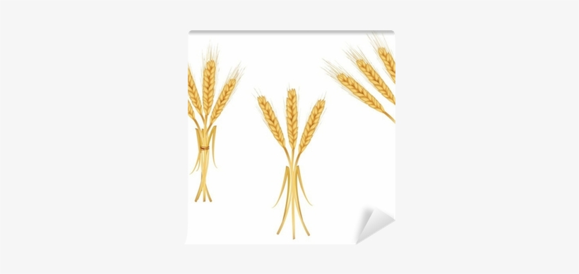 Wheat, transparent png download