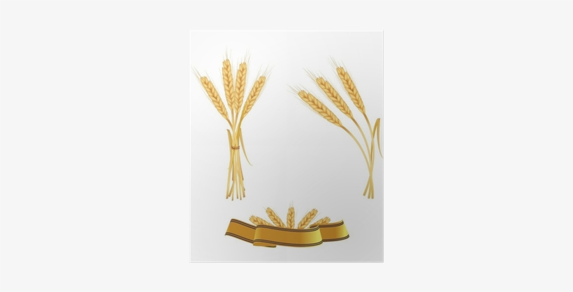 Some Ears Of Wheat And Ribbon - Motif, transparent png download