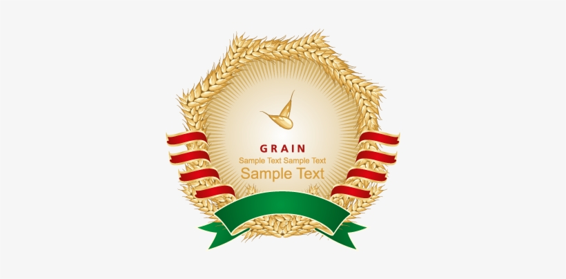 Vector Logo Wheat Label Logo Template - Punjab Agricultural University, transparent png download