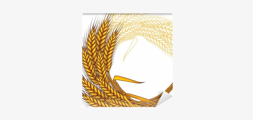 Background With Ripe Yellow Wheat Ears, Vector Illustration - Yellow Wheat Background, transparent png download
