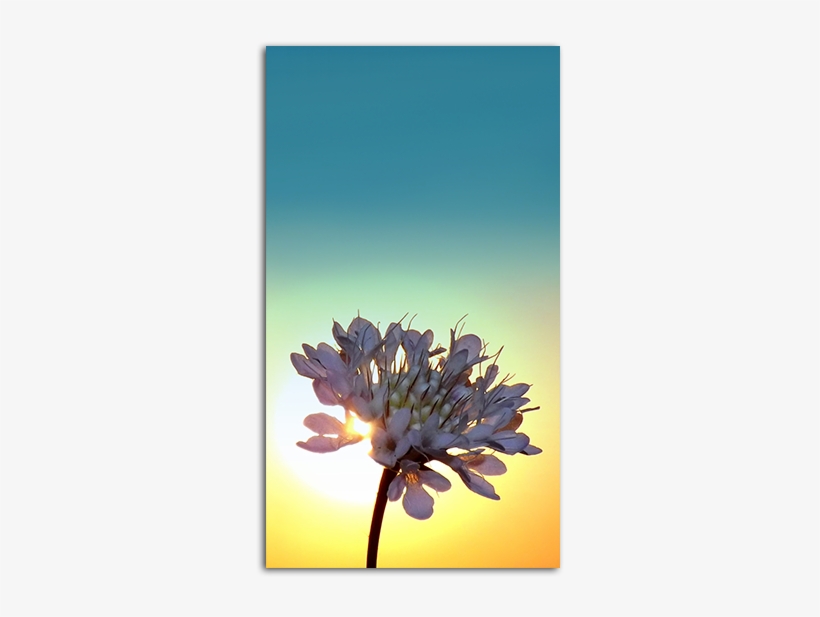 Sunrise Wallpaper Big - Sunrise Wallpaper Hd For Mobile, transparent png download