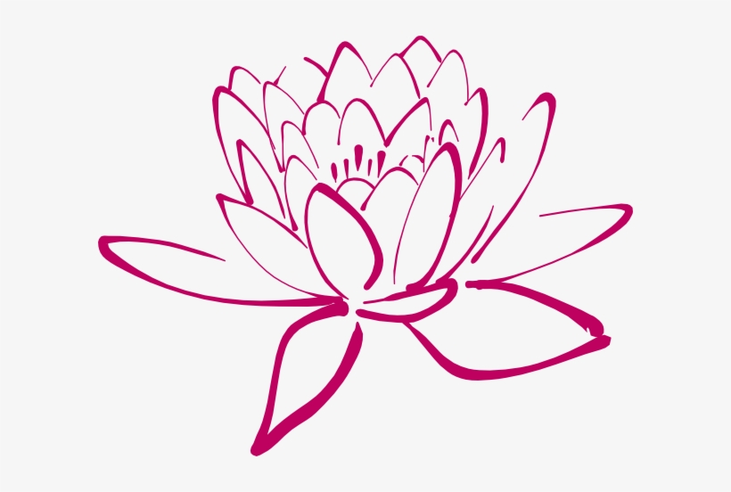 How To Set Use Dark Pink Lotus Clipart, transparent png download