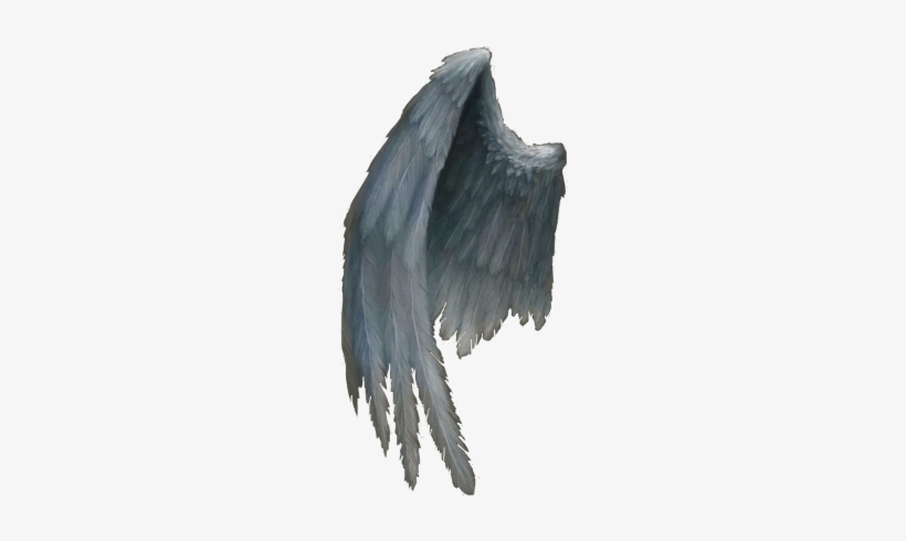 Angel Wing, transparent png download