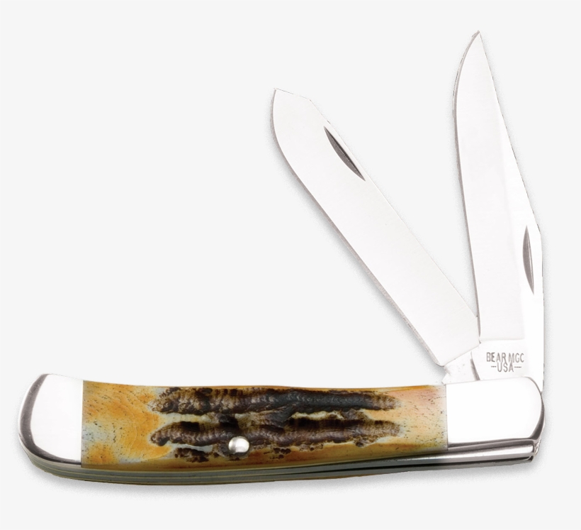 Bear 554, transparent png download