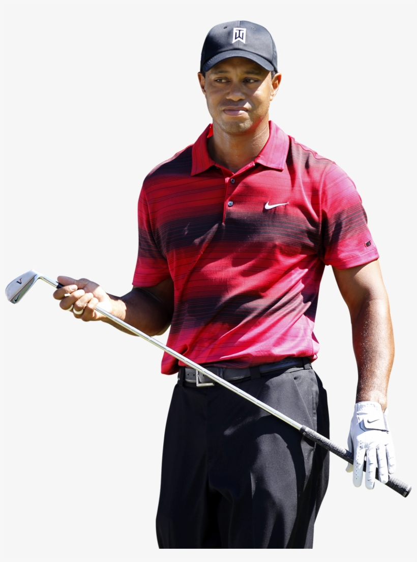 Tiger Woods Png Clipart - Tiger Woods White Background, transparent png download