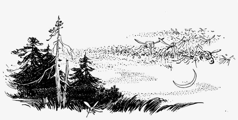 This Free Icons Png Design Of Moskitos In The Woods, transparent png download