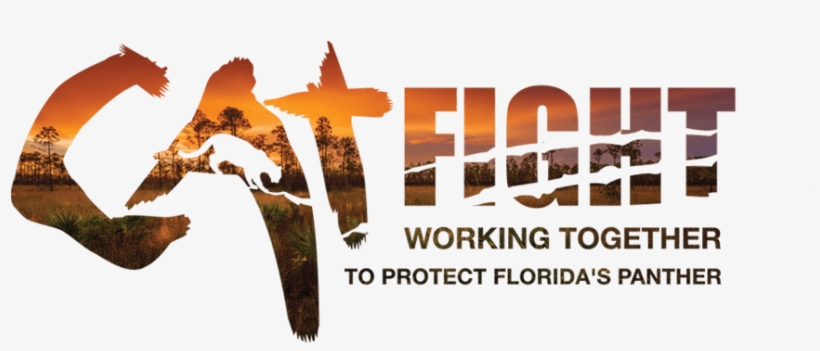 Working Together To Protect Florida's Panther - Florida, transparent png download