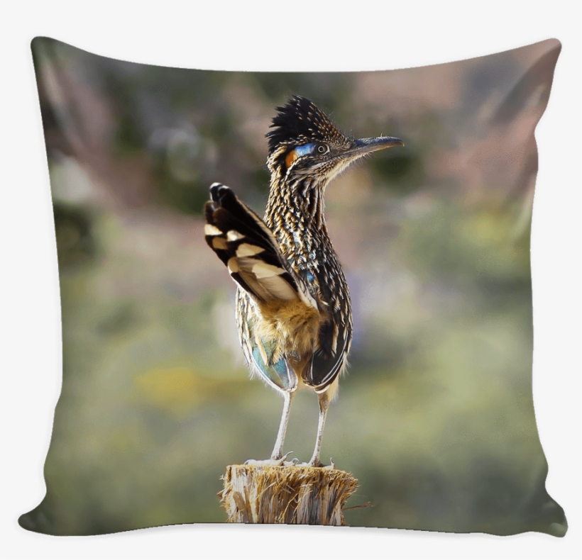 Greater Roadrunner Decor Throw Pillow Cover - Throw Pillow, transparent png download