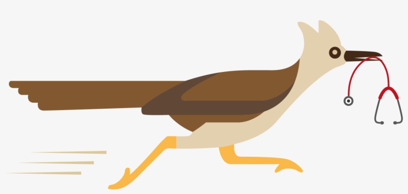 Roadrunner Healthcare - Woodpecker, transparent png download