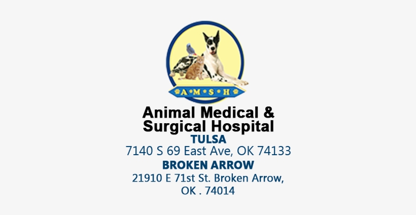 Animal Medical And Surgical Hospital, transparent png download