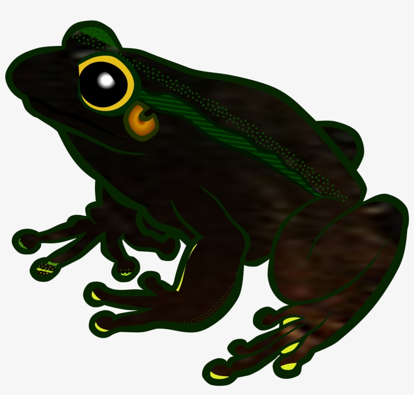 Frogs Clipart Clear Background - Frog Clip Art, transparent png download