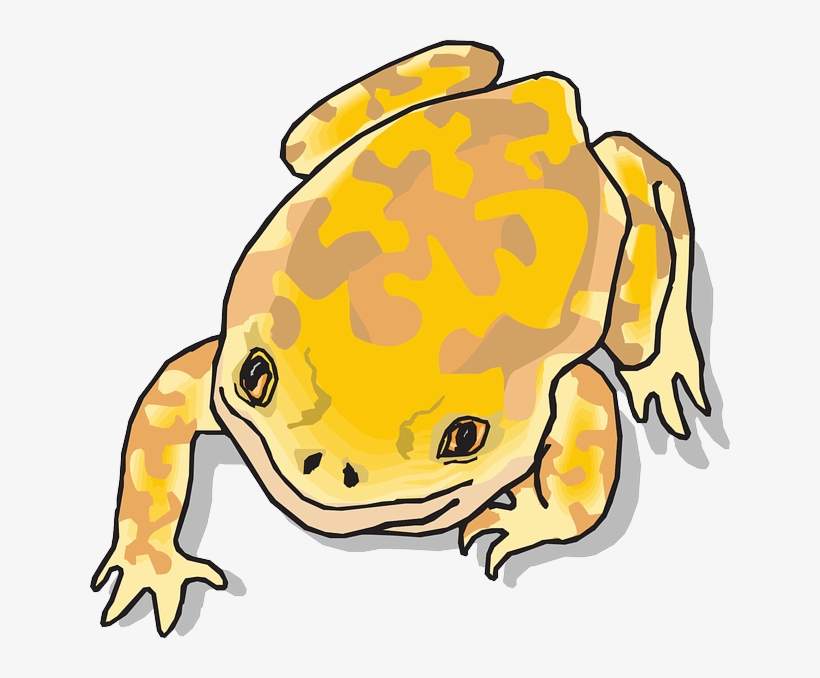 Original Png Clip Art File Yellow And Brown Frog Svg, transparent png download