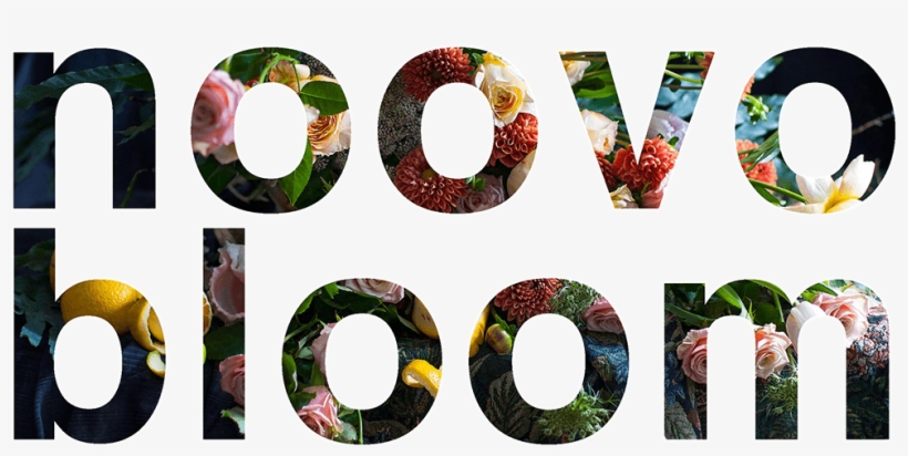 Novobloom Typo Ok - Art, transparent png download
