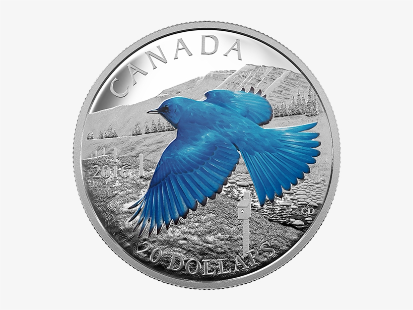 Fine Silver Coloured Coin Colourful Birds Of Canada - Mountain Bluebird, transparent png download