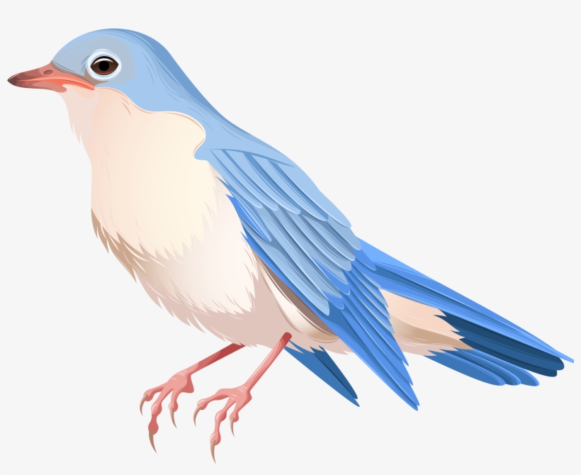 Blue Bird Png, transparent png download