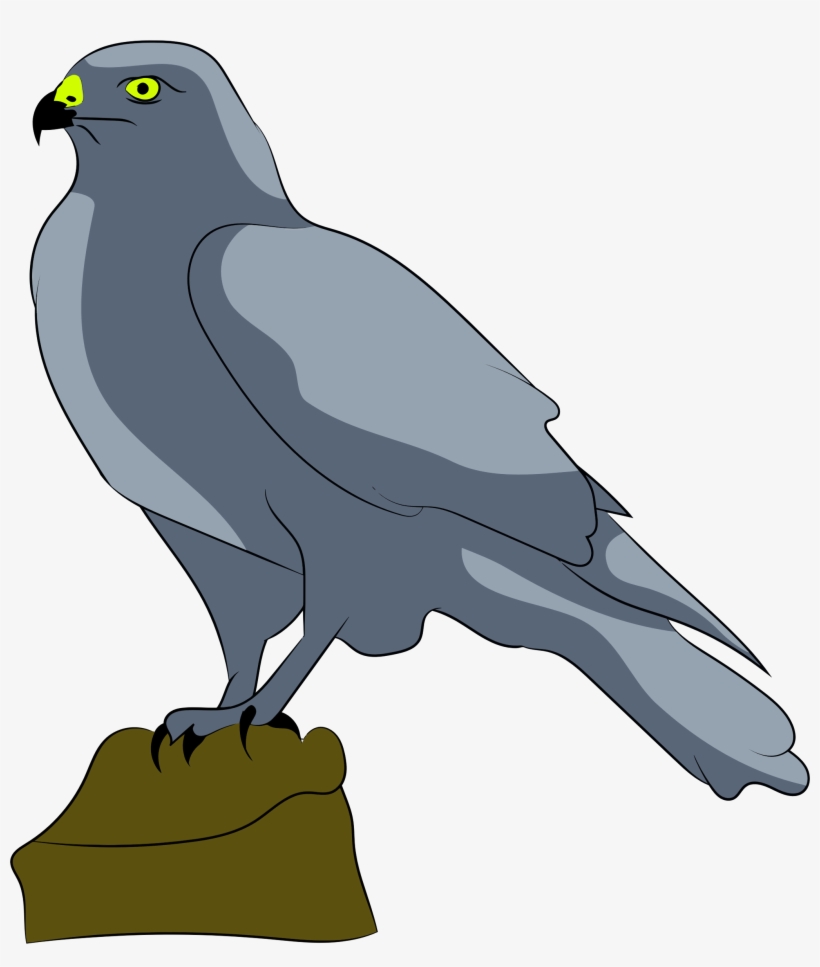 This Free Icons Png Design Of Perched Falcon, transparent png download