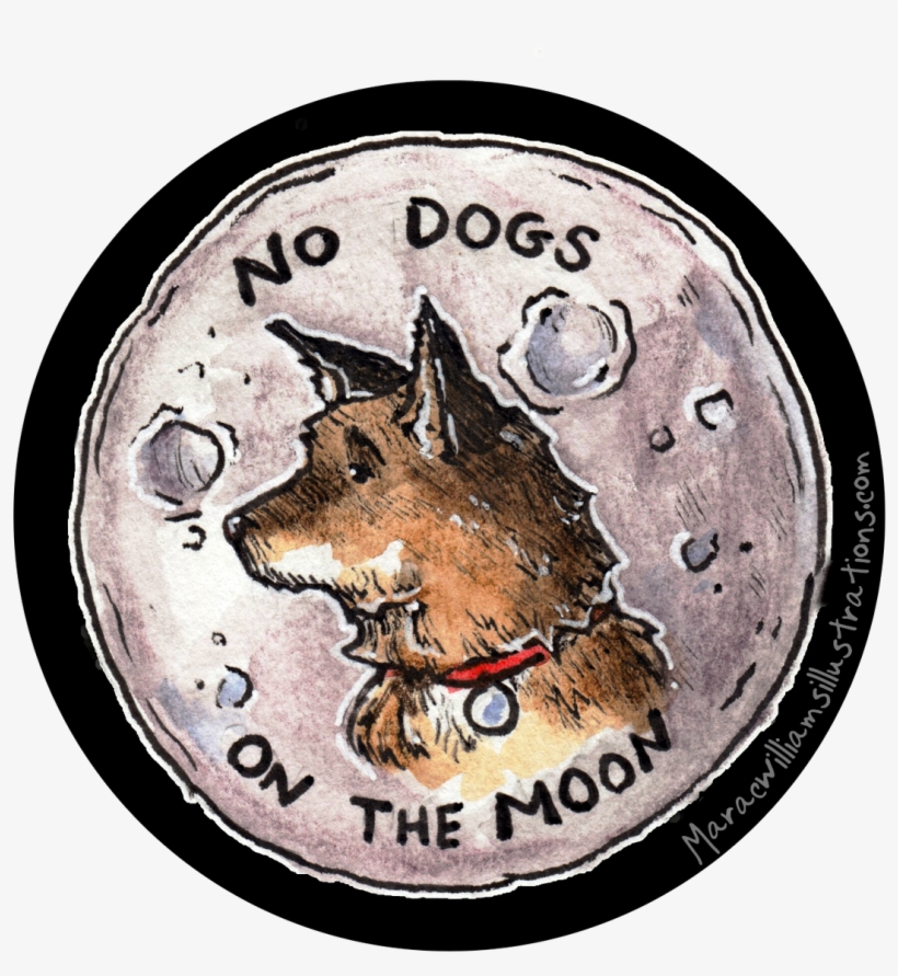 0 Replies 7 Retweets 4 Likes - Coin, transparent png download