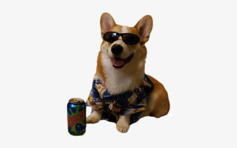 ✩transparent Slurm Dog 4 Ur Blog✩ - Transparent Dog, transparent png download