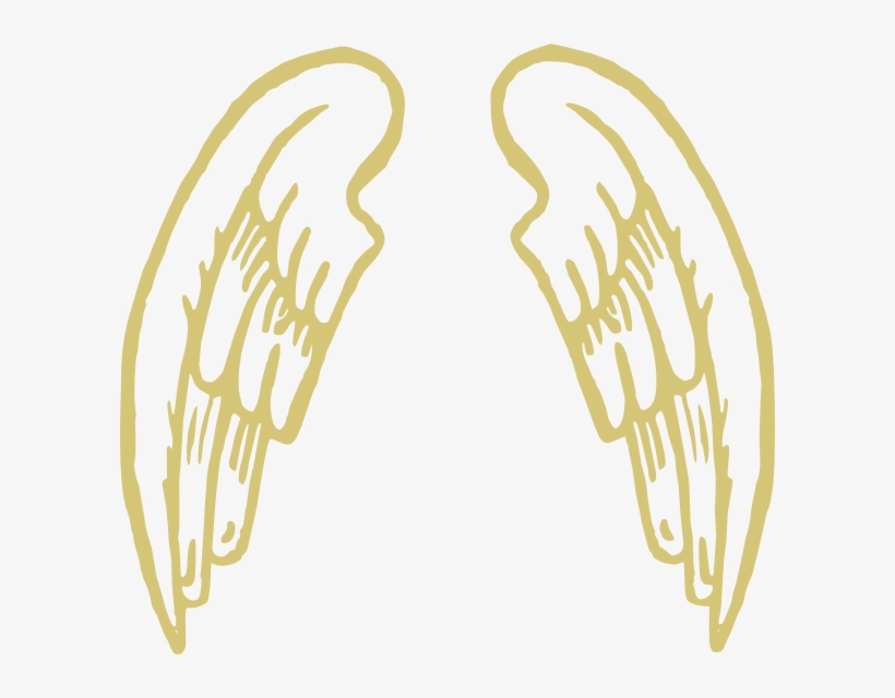 Wings Clipart Golden - Cartoon Wings Png, transparent png download