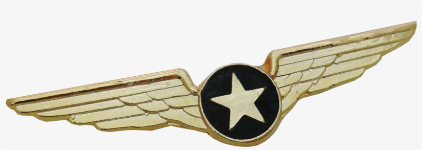 M9 Star Wing Golden - Gift, transparent png download