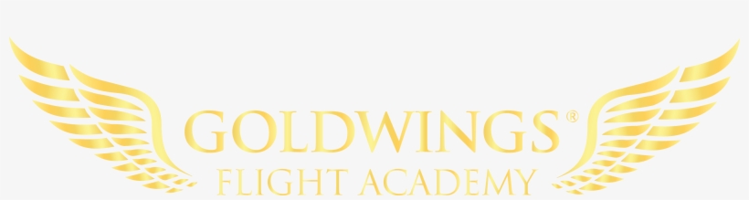 Gold Wings - Goldwings Logo, transparent png download