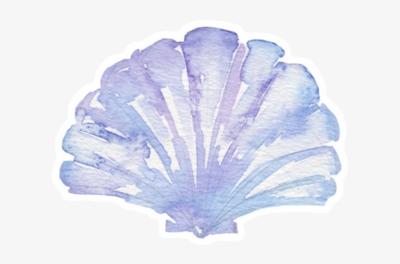 Seashell, transparent png download