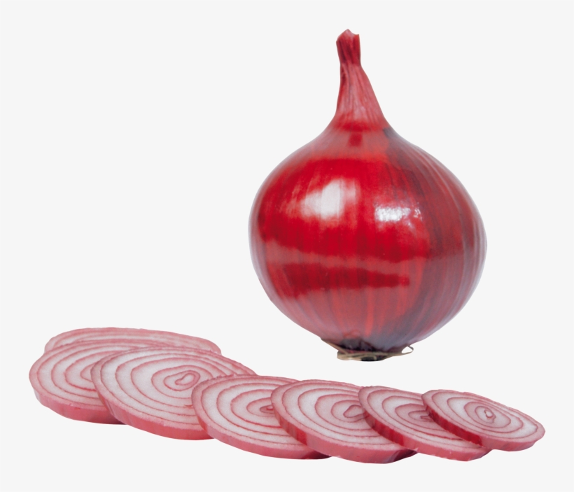 Free Png Onion Png Images Transparent - البصل Png, transparent png download