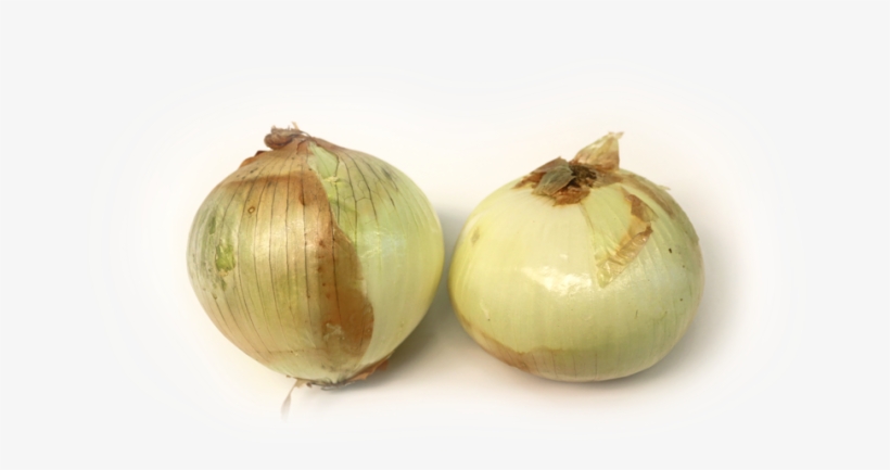 Sweetonion-transparent3 - Yellow Onion, transparent png download