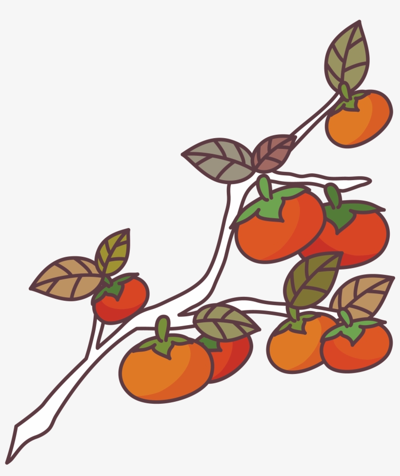Brush Stroke Cross Png - Persimmon Tree Illustration, transparent png download