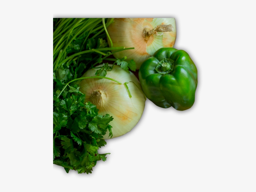 Creating A Personalized Nutrition Plan, transparent png download