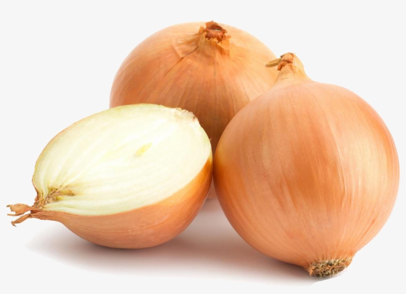 Onion Family, transparent png download