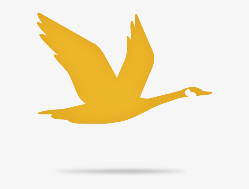 Wawabird, transparent png download