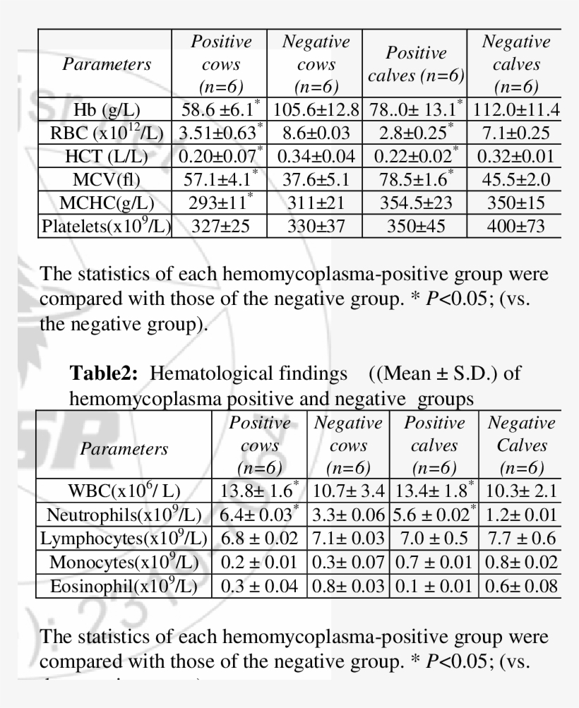 Wright's Stain Light Micrograph Of Blood Smear, M - Document, transparent png download