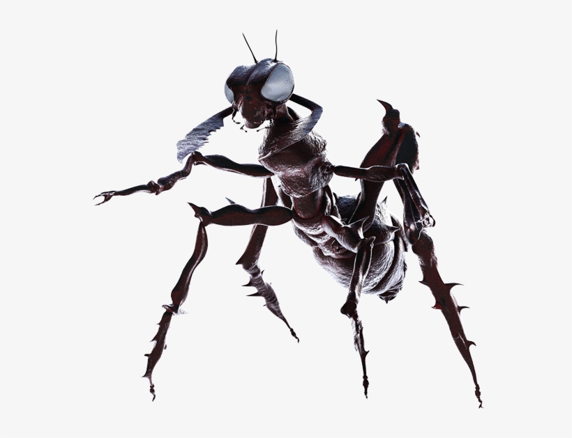 Creatures Png File - Creatures Png, transparent png download