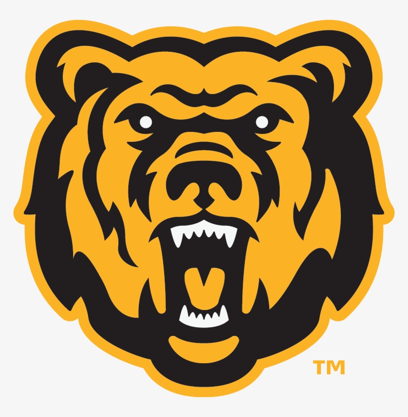 Canton Minor Hockey Logo Files - Bears Logo, transparent png download