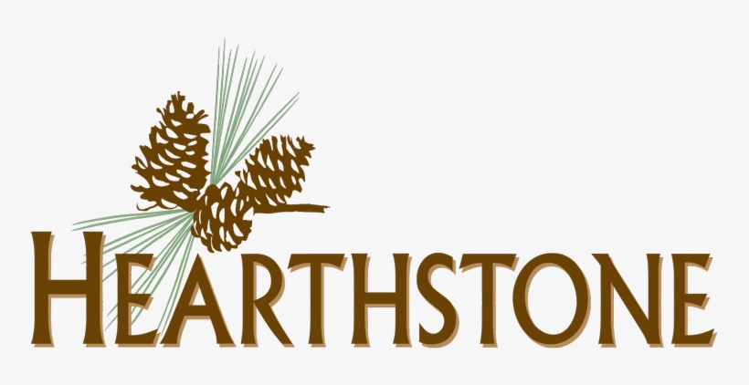 Hearthstone Mccall - Chrissy Metz Book This Is Me, transparent png download