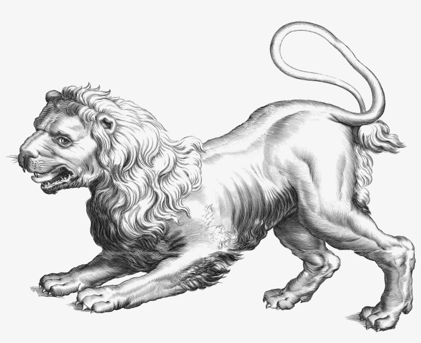 Web Version Full Resolution (png - Icanvas Astronomy And Space 'leo (lion)' Painting Print, transparent png download