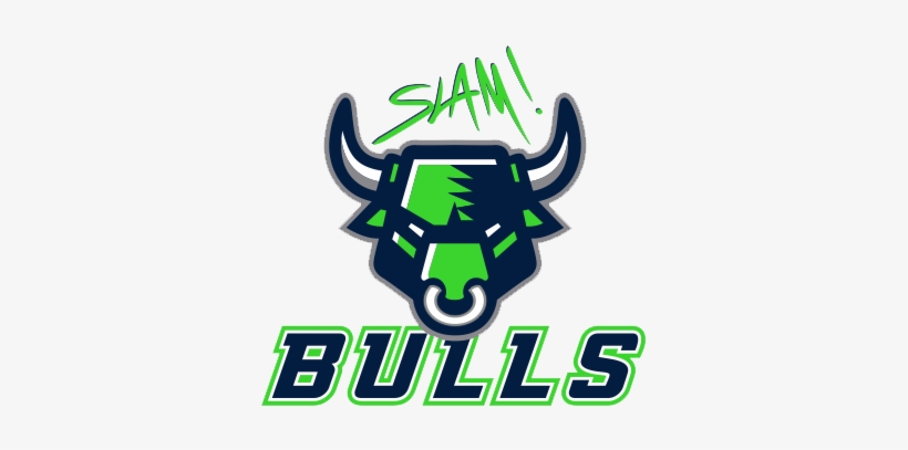 School Logo - Slam Academy, transparent png download