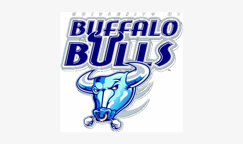 Buffalo Bulls, transparent png download