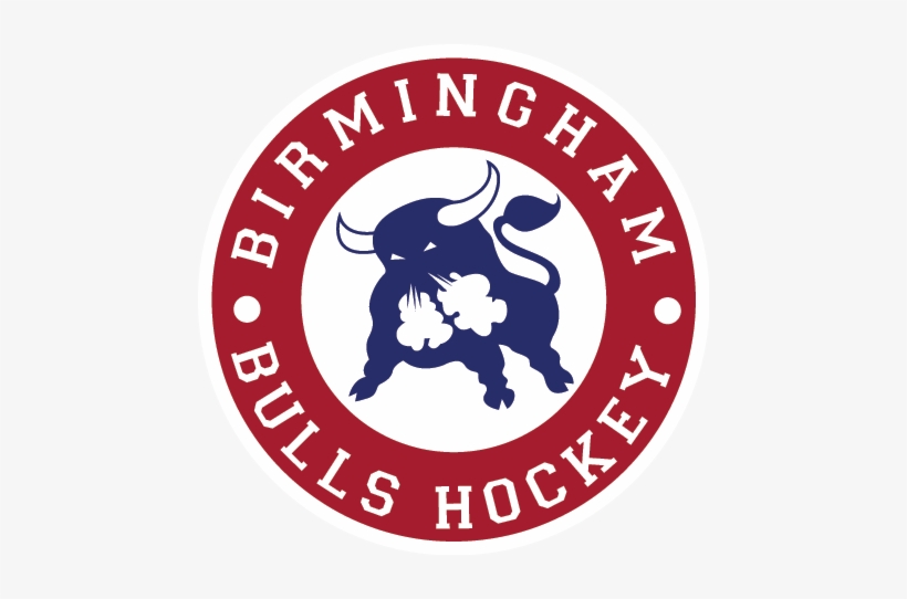 Birmingham Bulls Well Represented In Prospects Weekend, transparent png download