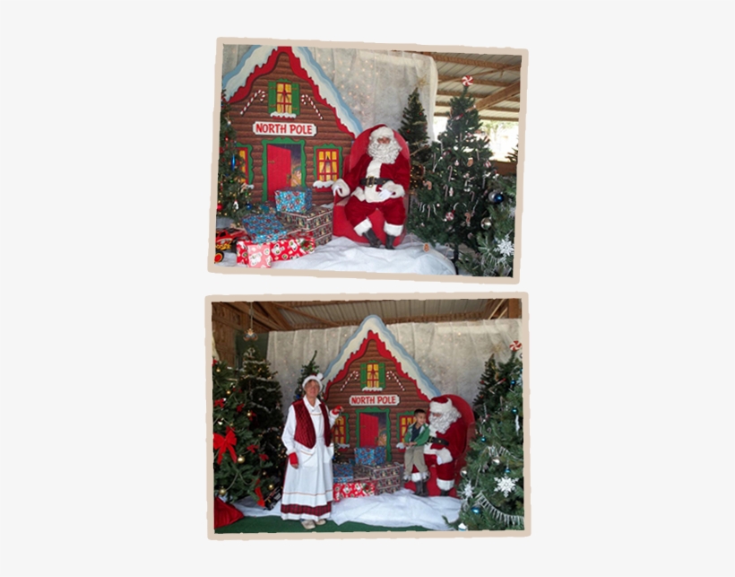 Celebrate Your Christmas Holidays At The Oil Ranch - Houston, transparent png download