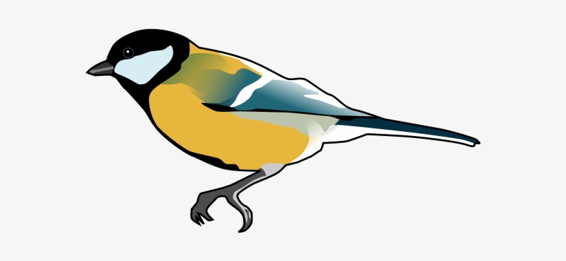 Great Tit Cartoon Clipart Png, transparent png download