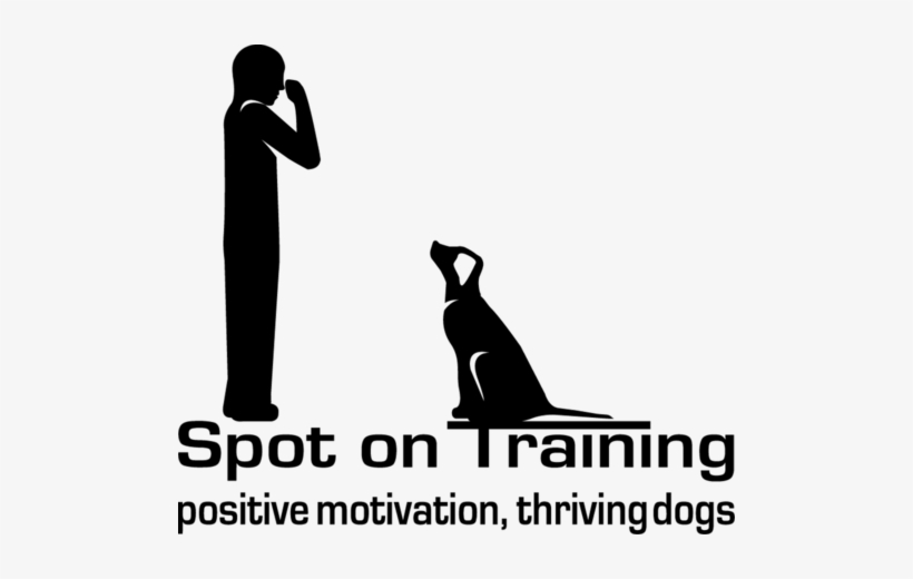 Spot On Training - Le Secours Catholique: 1946-2016 [book], transparent png download