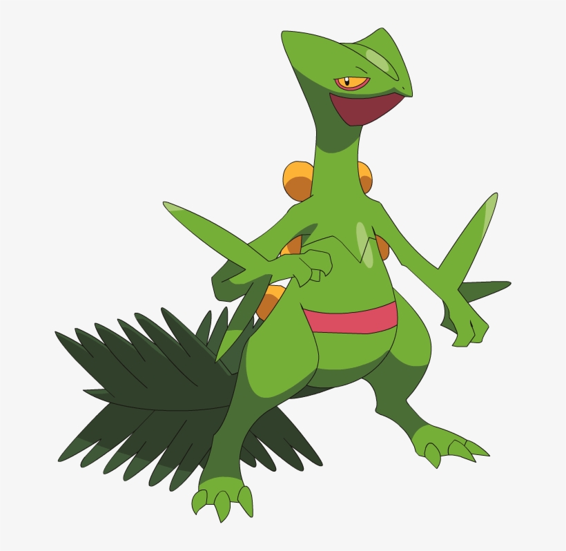 Pokemon Sceptile Is A Fictional Character Of Humans - Pokemon Sceptile, transparent png download