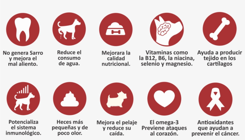 Barf - Beneficios De La Dieta Barf, transparent png download