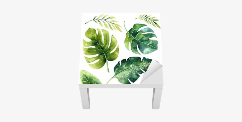 Hand Drawn Watercolor Tropical Plants Set - Brazilian Tropical Plant, transparent png download