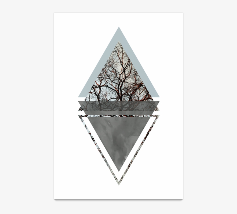 Poster Branches De Lorena Valimna - Triangle, transparent png download