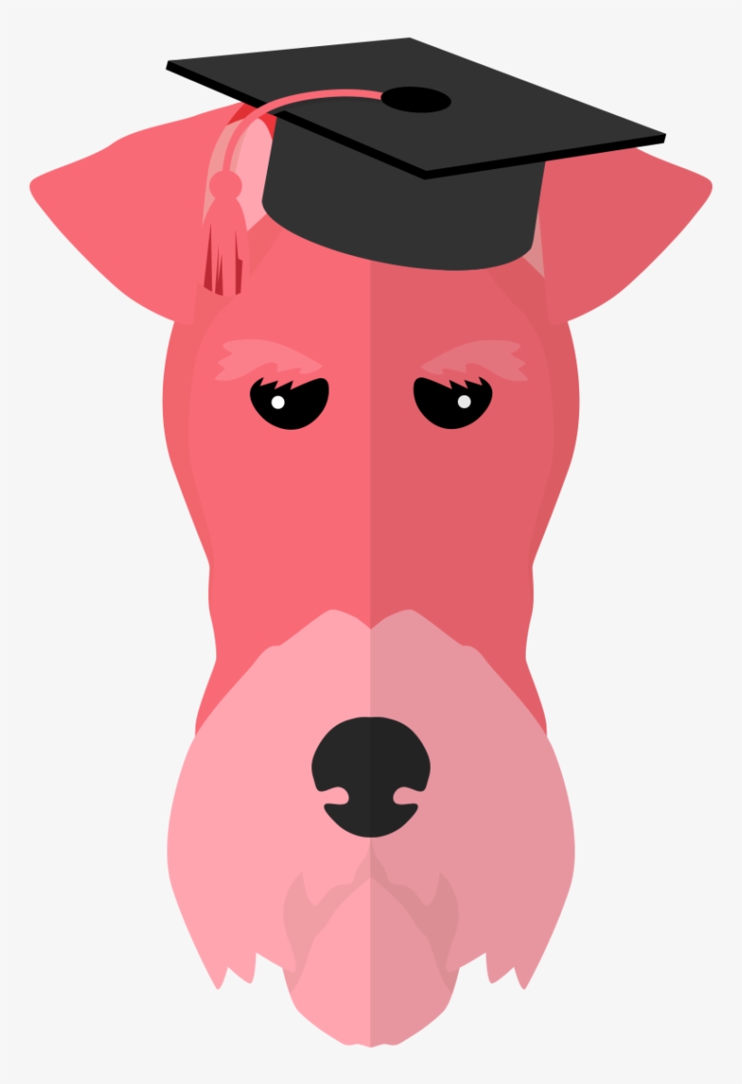 Entendemos La Formación Como Un Proceso Clave En La - Mortarboard, transparent png download