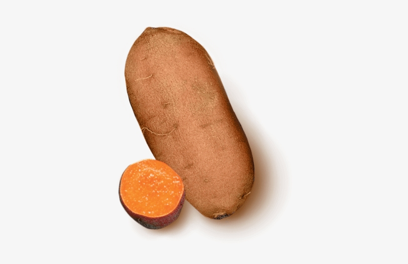 Moist & Sweet - Sweet Potato, transparent png download