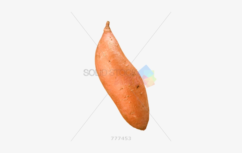 Stock Photo Of Orange Sweet Potato Isolated On Transparent - Sweet Potato Transparent Background, transparent png download